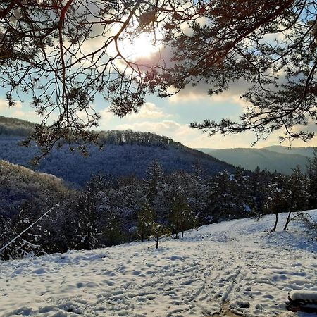 Ferienwohnung Westerwaldblick Grosszuegige Wohlfuehloase Mit Terrasse Oberelbert Dış mekan fotoğraf