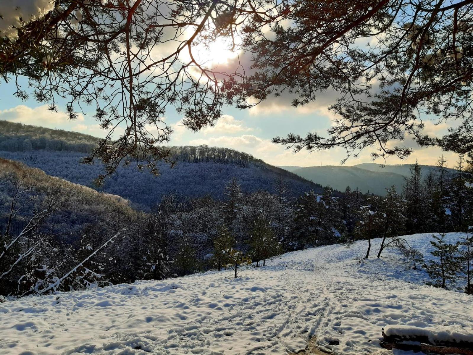 Ferienwohnung Westerwaldblick Grosszuegige Wohlfuehloase Mit Terrasse Oberelbert Dış mekan fotoğraf